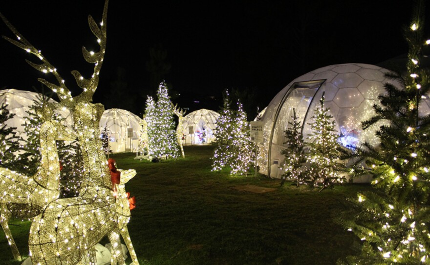 Festive Igloos