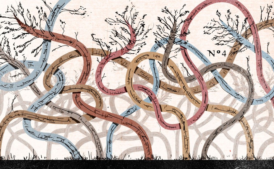 Think of human relationships as entanglements. How do they bind you, how do they reveal who you really are?