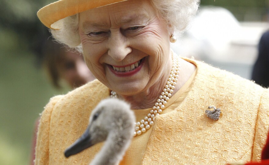 By law, all wild swans in Great Britain belong to Queen Elizabeth.