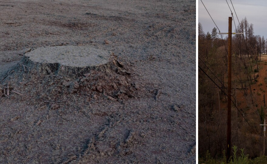 Paradise lost more than 11,000 homes in November 2018 in California's most destructive wildfire. Tens of thousands of people once called the ridge home.