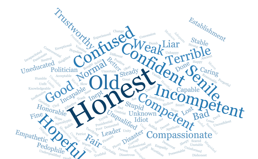 The NPR/<em>PBS NewsHour</em>/Marist poll asked what word comes to mind when thinking about former Vice President Joe Biden as president. The word "honest" stood out, but there were plenty of negatives too.