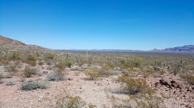 This undated image provided by Tucson Sector Border Patrol shows the desert terrain close to Arizona's boundary with Mexico near Lukeville, Ariz. 