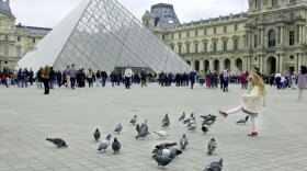 McDonald's plans to open a franchise in the underground shopping mall at Paris' famed Louvre art museum. Critics say even a more upscale than usual McDonald's will not meet the Louvre's standards.