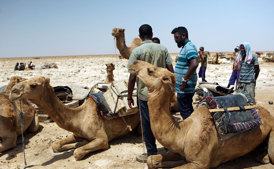 Romesh Ranganathan with Mike Tamerat, The Denakil Depression, Afar Depression, Ethiopia