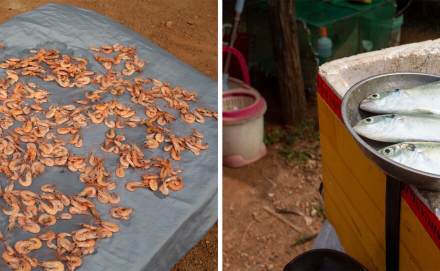 Many residents of coastal Cambodia rely on the sea for their livelihood. Here, some of the local catch.