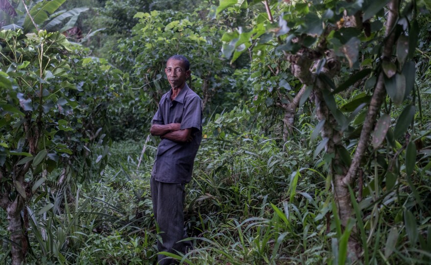 Zaratombo, a vanilla farmer and member of a local collective that sells to Virginia Dare, photographed in his field outside the village of Belambo, Madagascar.
