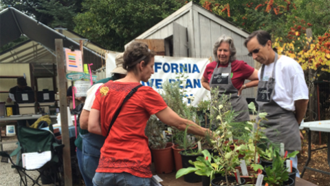 California Native Plant Society's Fall Native Plant Sale