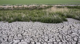 The dried, cracked earth of a former wetland that was drained in an effort to prevent an outbreak of avian botulism which occurs in Tulelake, Calif., June 9, 2021.