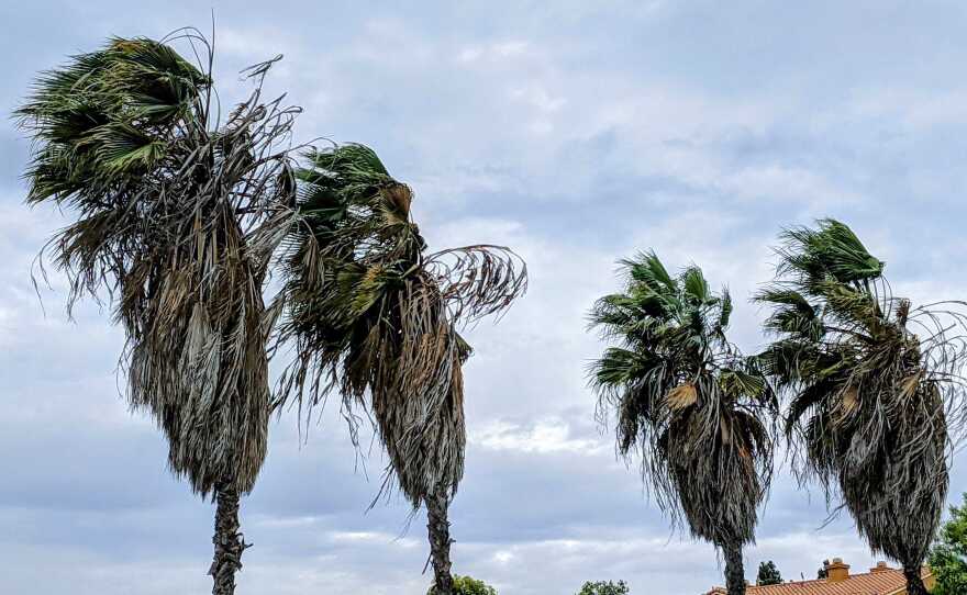 Blustery winds in San Diego as shown on Jan. 20, 2021