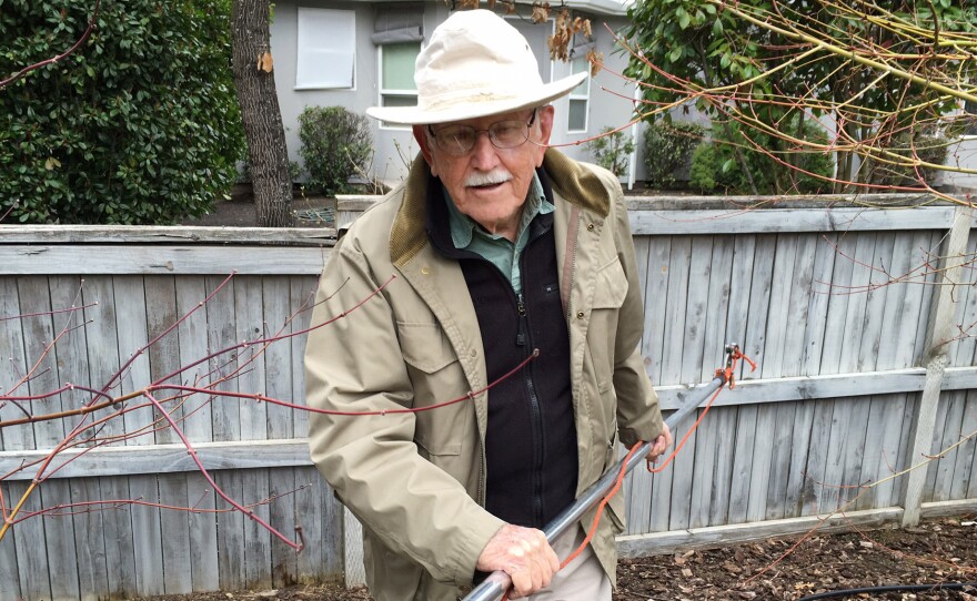 Jim Shute is 95 and still wielding a mean pole saw.