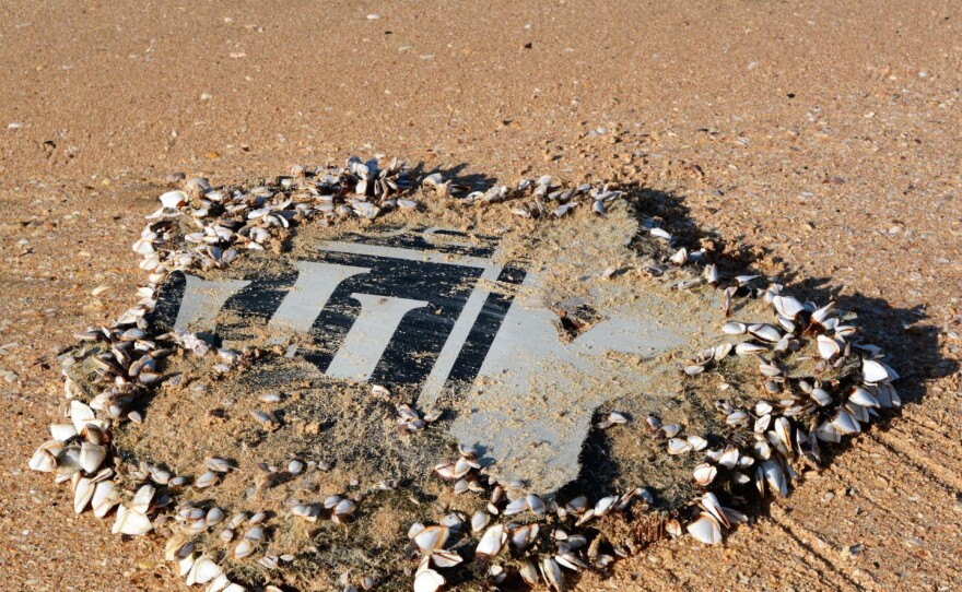 A piece of engine cowling covered in barnacles recovered from a South African beach. Debris such as this has led to a revision of the search area.