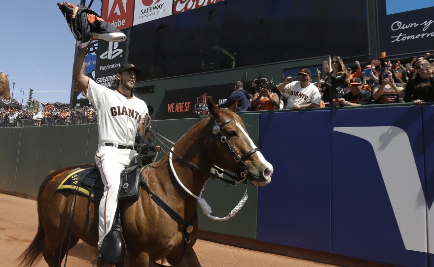 Major league pitcher Madison Bumgarner carries the 2014 San Francisco Giants championship pennant while riding a police horse before a game in 2015. The Athletic reports that Bumgarner has been competing at rodeos under an alias.