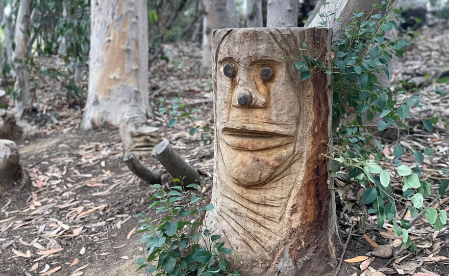 Wood carvings by the artist duo Brian & Ryan dot the perimeter of Chollas Lake, shown in a June 1, 2023 photo. The carvings were part of the 2022 "Park Social" artist activation at the park.