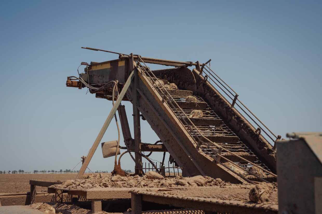 A sugarbeet harvester sits in one of the Abatti family's fields near El Centro in Imperial County on July 16, 2025. Sugar beets make up over a third of the crops that Abatti and his family grow every year.
