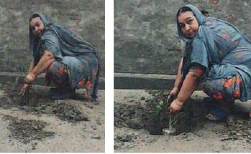 This tree-planting photo was submitted with an application for a gun license in Ferozepur, a city in India's Punjab state.