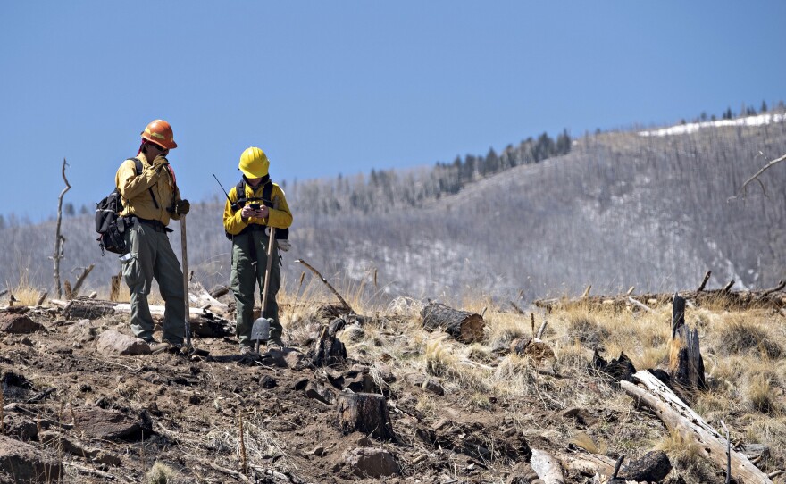 A pair of resource advisers from the Coconino National Forest record data Thursday as they work to determine the severity of the Tunnel Fire's impact near Flagstaff, Ariz.