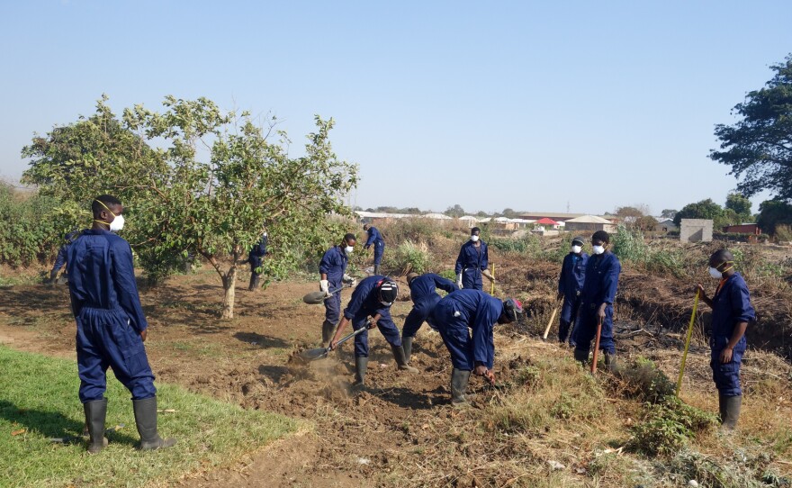 Local crews work to clean up lead-laden soil in the Zambian town of Kabwe.