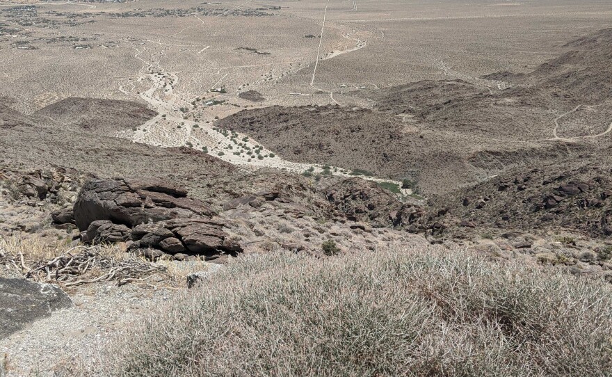 The Anza-Borrego Desert State Park is pictured in this photo, June 19, 2020.