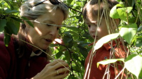 A woman and child take a closer look at a piece of fruit from a tree in the film "Mother Nature's Child: Growing Outdoors In The Media Age."