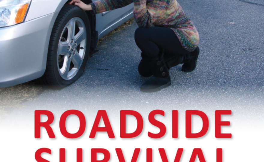 Book: Roadside Survival, by Walt Brinker