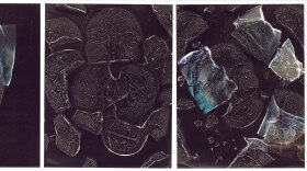 Above, undated photographs from artist beck haberstroh's "You took my impression without ever touching me" series. These will be on view at "Working Title" Jan. 5-7, 2023.