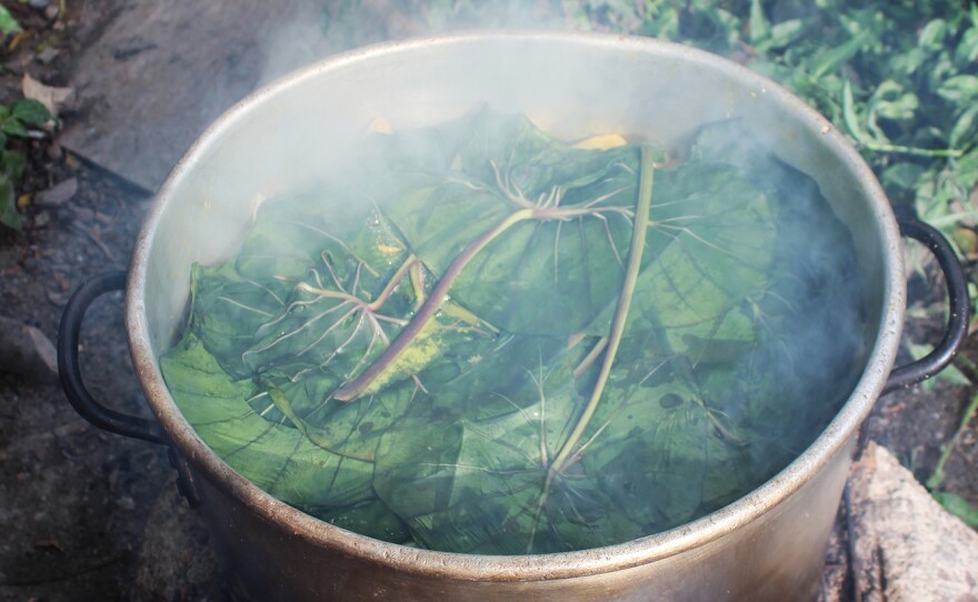 This steaming pot of oil down, with callaloo leaves on top, is ready to eat.