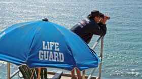A San Diego lifeguard working near the cliffs at Torrey Pines.