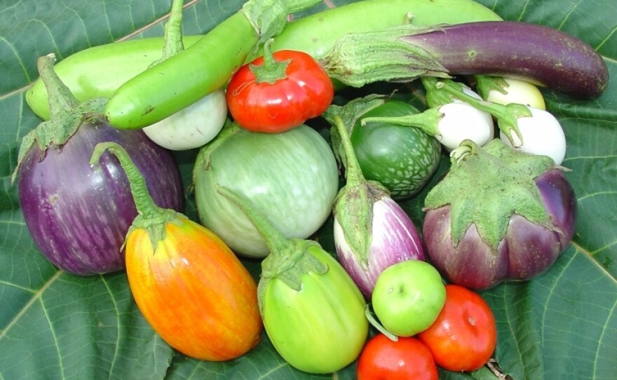 <p>Jere Gettle's Baker Creek Heirloom Seed Co. offers seeds for 62 different varieties of eggplant.</p>