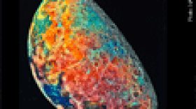 Earth's Moon