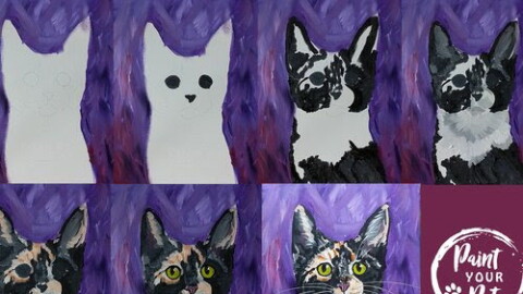 Paint Your Pet Classes
