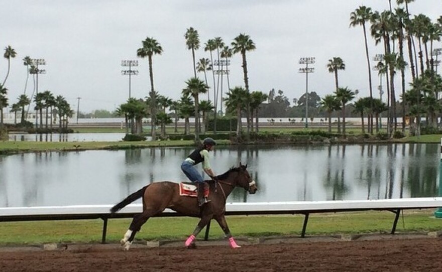 California Chrome is a favorite in Saturday's Derby, even though he doesn't fit the expensive mold of his competitors.