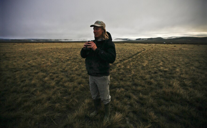 Ecologist Korb scouts a sage grouse lek, a highly stylized mating ritual, at dawn in the Centennial Valley.
