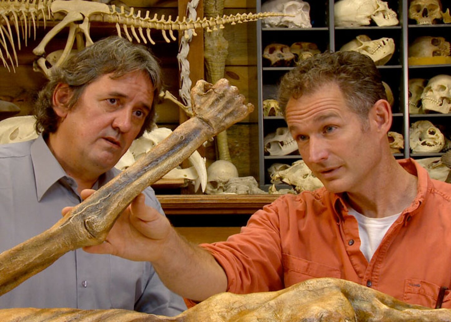 Artist Gary Staab and Dr. Albert Zink inspect a replica of Otzi the Iceman mummy for this NOVA special.