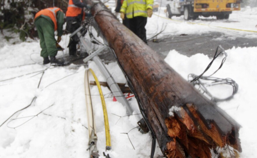A crew of linemen working for Puget Sound Energy remove a power pole that fell down after a tree covered in ice fell on a transmission line near a substation in January in Olympia, Wash. Weather and tree branches cause 40 percent of power outages in the U.S.