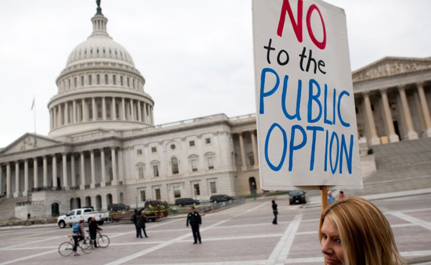Michelle Poland of Bryan's Road, MD, rallies against the Senate's health care reform bill outside Capitol Hill on Nov. 21, 2009 in Washington, DC.