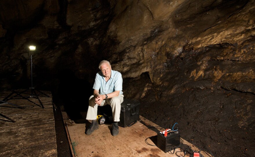 David Attenborough with filming equipment in Goamantong cave, Sabah, Borneo. Showing camera technology that allows us to film in the dark.