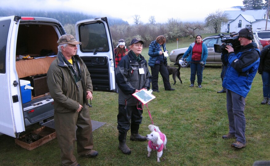 Dog trainer Deb Walker and her poodle, Dottie, an expert truffle hunter.