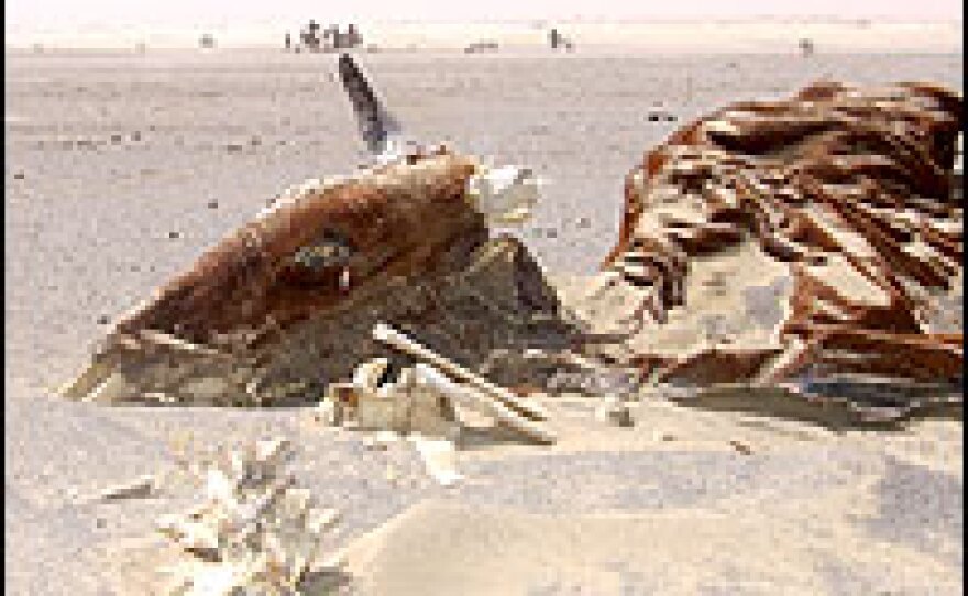 Tuareg nomads living in West Africa's Sahel have adapted over the centuries to the extreme temperatures found there. But as this desiccated cattle carcass suggests,  it's a harsh life with few safety nets. Countries with low income levels will find it hardest to adapt to a predicted increase in heat waves.