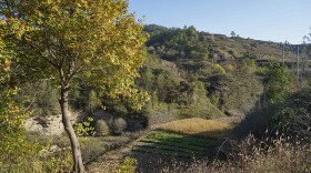 A landscape that was barren just 25 years ago is now green and fertile. These terraces were carved into the landscape to help retain water in the land and to make farming more efficient. Steep slopes were to be returned to nature. The results speak for themselves.