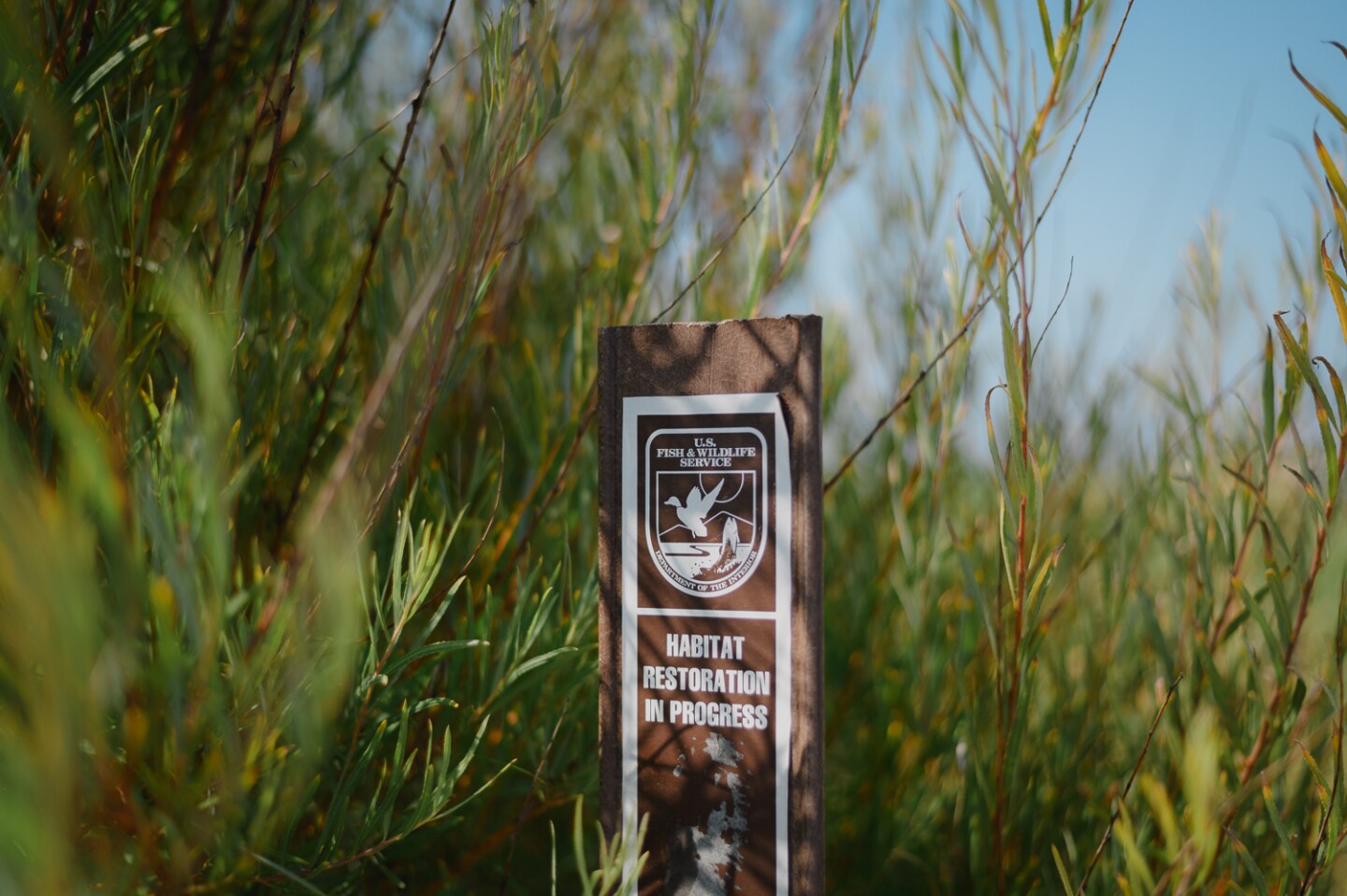 A U.S. Fish and Wildlife Service sign stands at the Tijuana River Estuary in Imperial Beach, California on August 3, 2024.