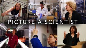 Top: L-R: Sylvia Geyer, Ph.D.; Raychelle Burks, Ph.D.; Nancy Hopkins, Ph.D. Bottom: L-R: Penny Chisholm, Ph.D.; Jane Willenburg, Ph.D.; Mahzarin Banaji, Ph.D.