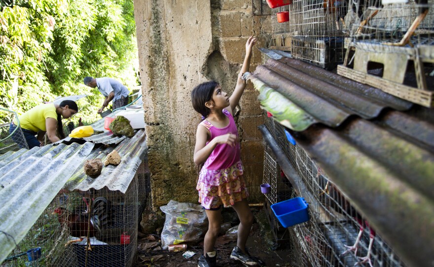 Torres, his wife Lizmary Rivera, and their 9-year-old daughter Janniela, at feeding time.