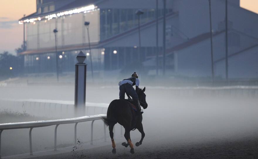 A horse makes his way through the pre-dawn fog at the Fair Grounds Race Course in New Orleans in 2010. The Fair Grounds barn area opened earlier than normal this season to accommodate horses traveling from recently concluded meets at Arlington Park and Evangeline Downs.