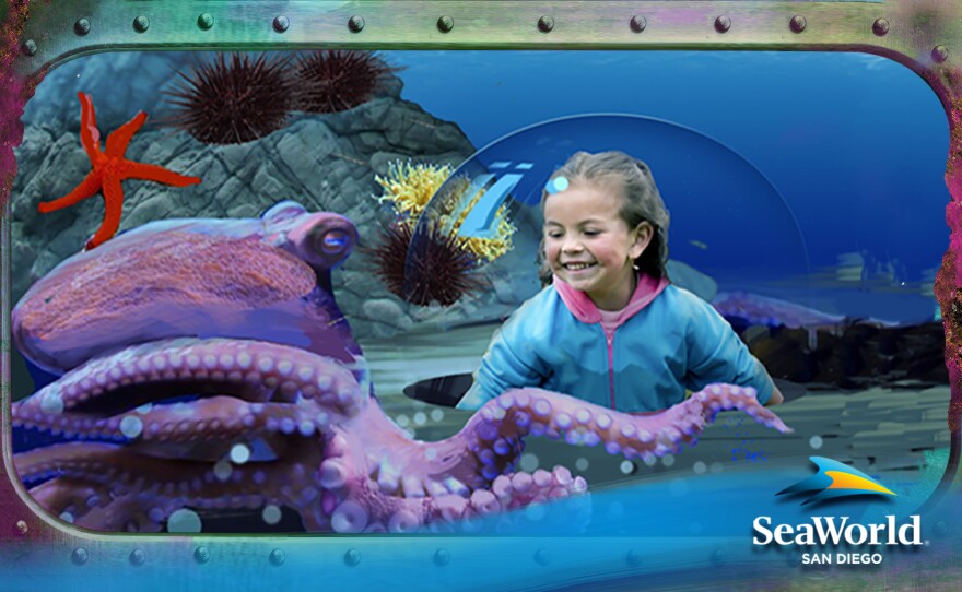 An undated rendering shows a child viewing an octopus from a bump-out in an aquarium in the park's proposed Ocean Explorer attraction.