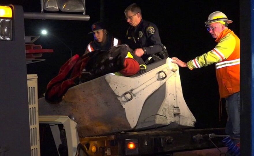 A crane collapsed and pinned a construction worker on a flatbed semi-truck on Interstate 15 in San Diego, Jan. 13, 2016.
