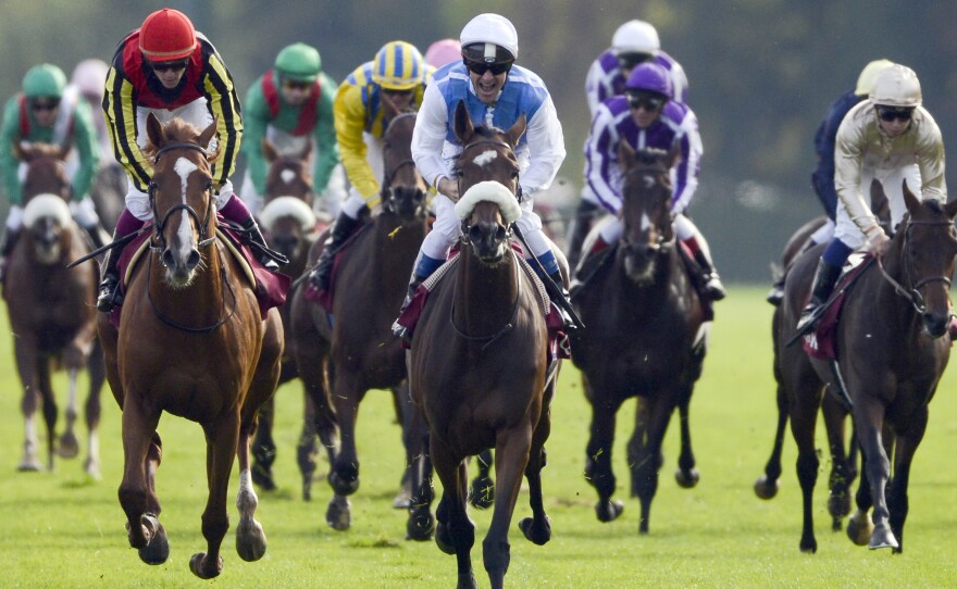 French jockey Olivier Peslier celebrates a win at Longchamps racecourse near Paris in 2012. While many drugs can legally be used on horses in U.S. racing, they are barred in Europe.