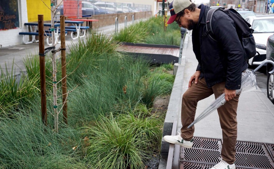 Joshua Bradt looks over a green infrastructure in downtown Oakland. During storms, water from the street and sidewalk is funneled into the rain garden.