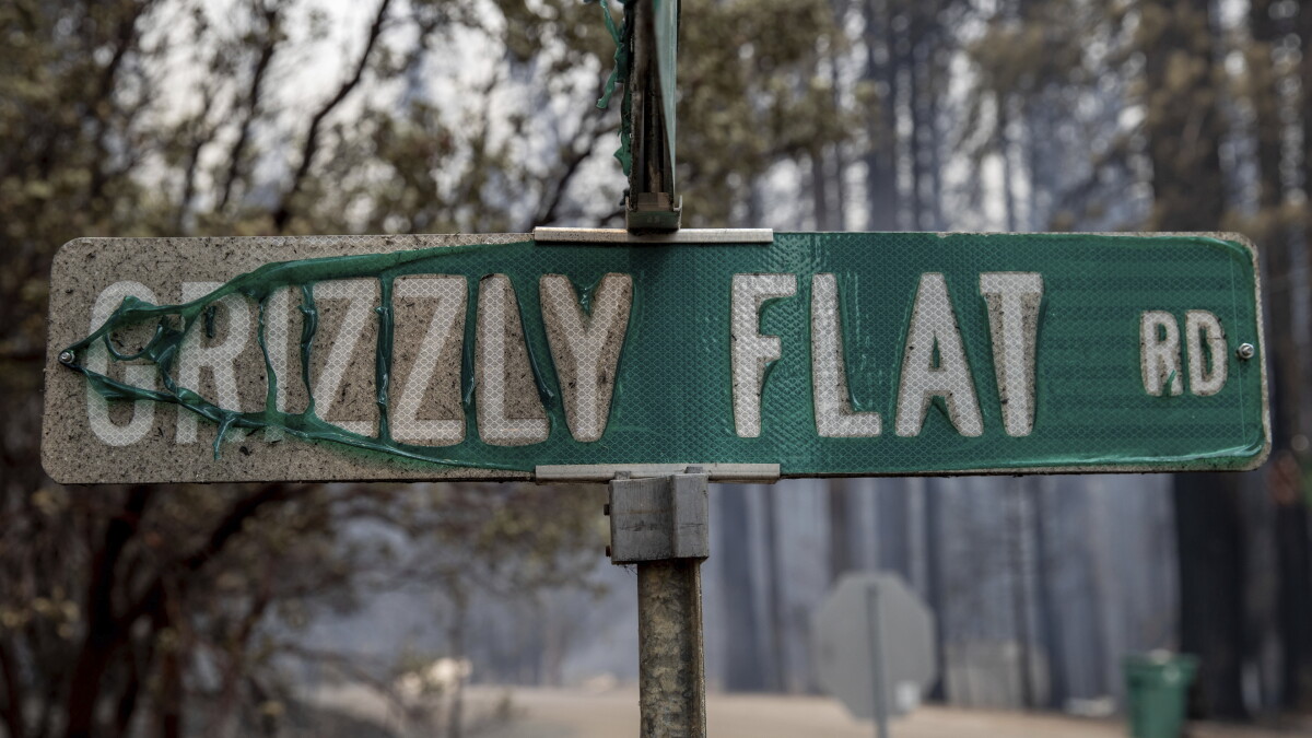 Caldor Fire survivors are taking legal action against the U.S. Forest Service - Vimarsana News
