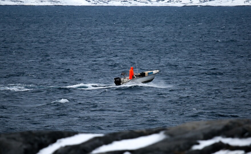 En jæger på vej ud i fjorden ved Nuuk.