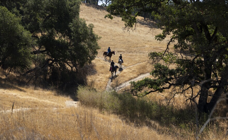 Campers take a trail ride around the ranch.